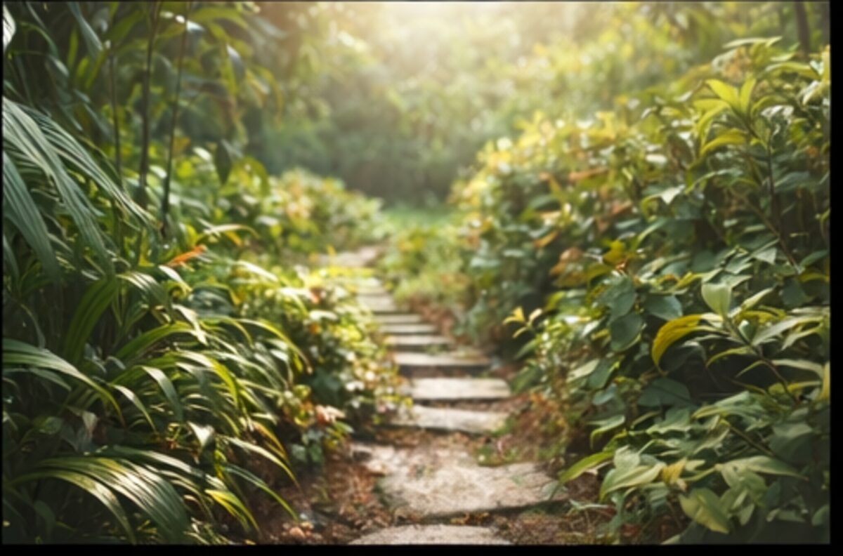 A lush tropical garden path with stepping stones in warm morning light